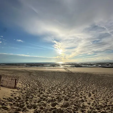 Le Bonheur Iodé